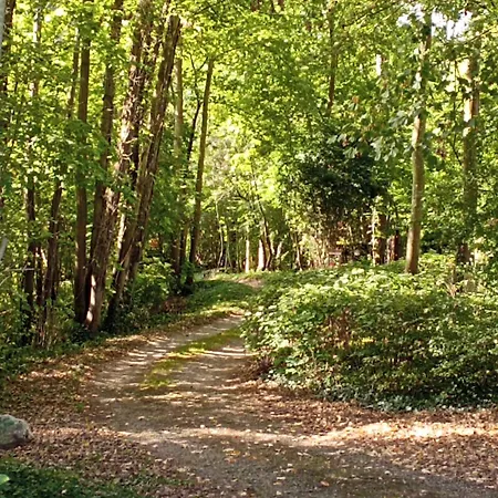 L'olivianne * Crépy-en-Valois