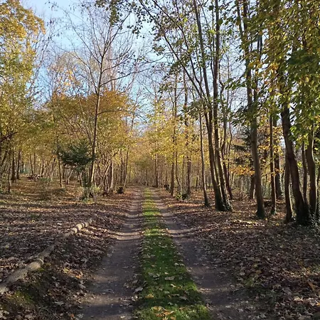 L'olivianne Feriehus *