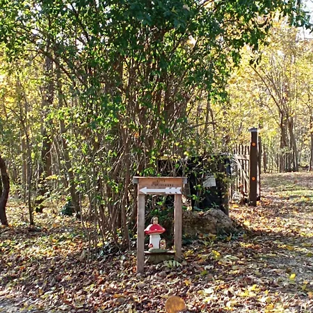 Feriehus L'olivianne *