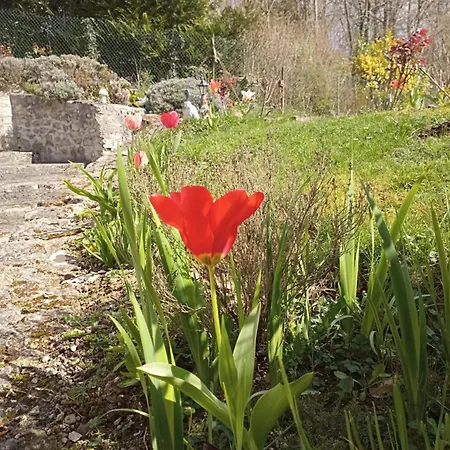 L'olivianne Feriehus Crépy-en-Valois
